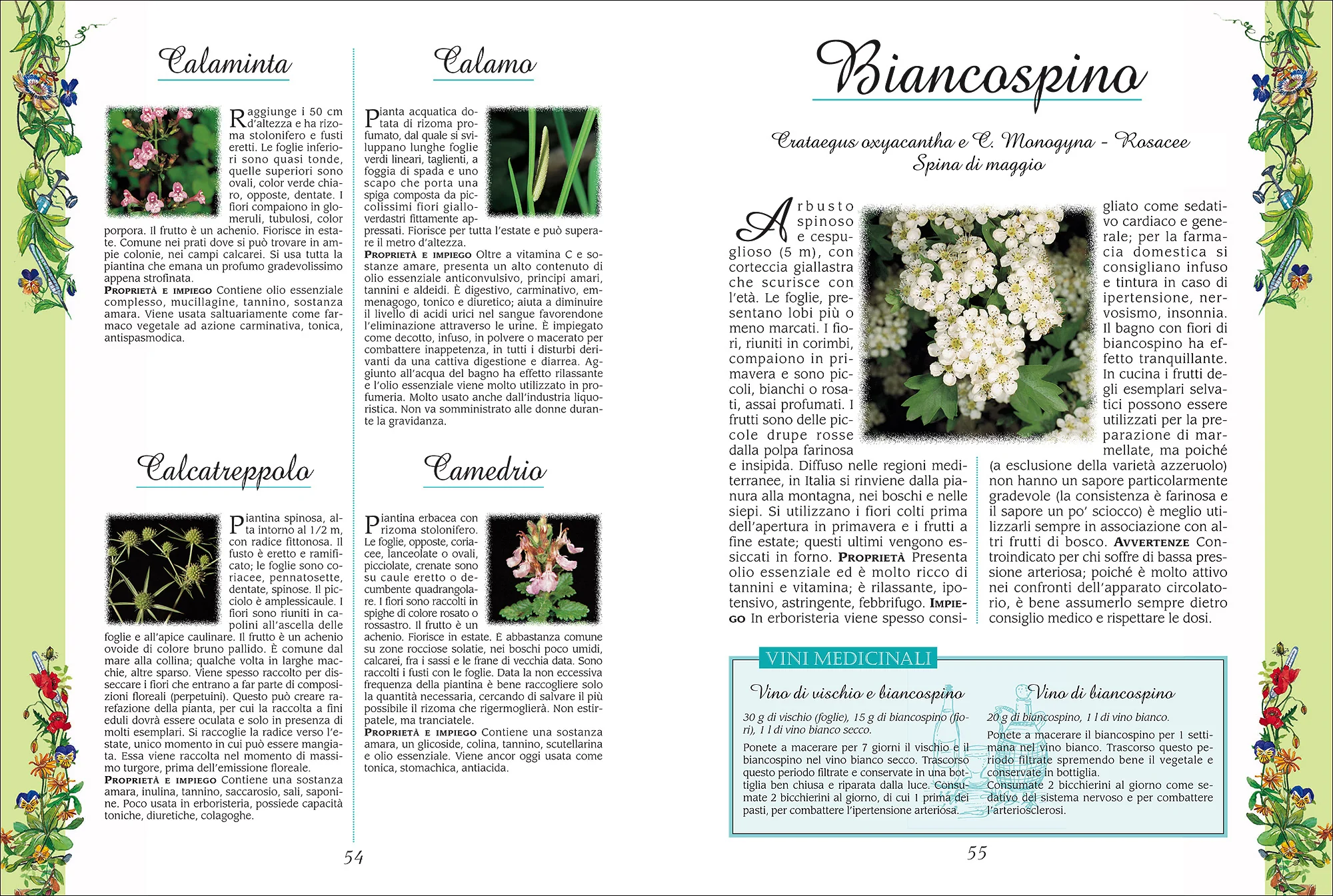 Immagine prodotto 4
