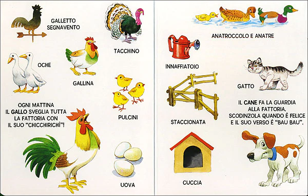 Immagine prodotto 4