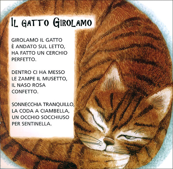 Immagine prodotto 3