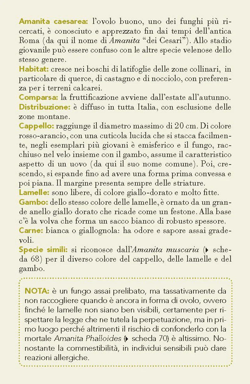 Immagine prodotto 5