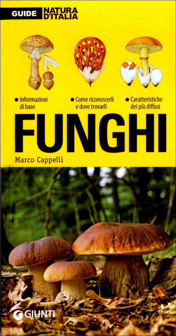 Immagine prodotto 1