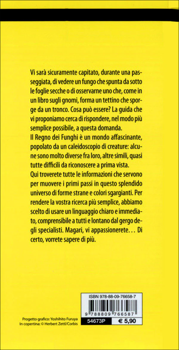 Immagine prodotto 2