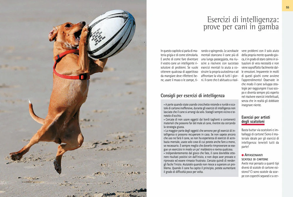 Immagine prodotto 4