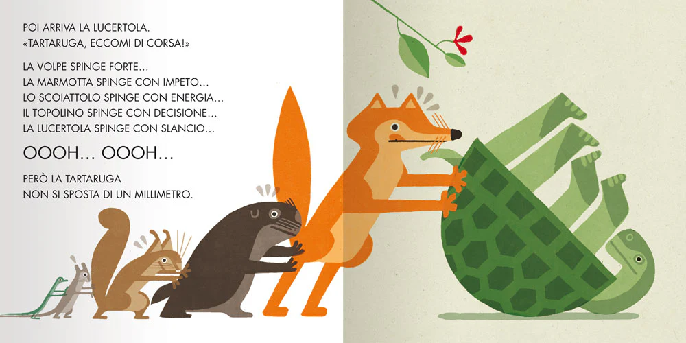 Immagine prodotto 4