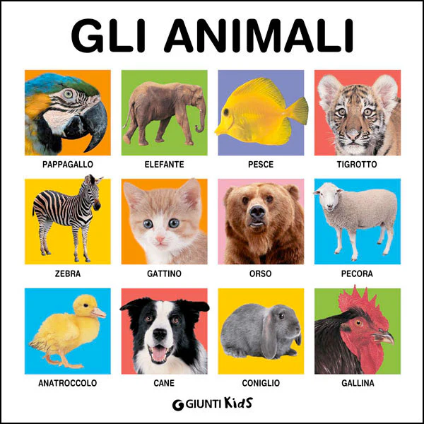 Immagine prodotto 1