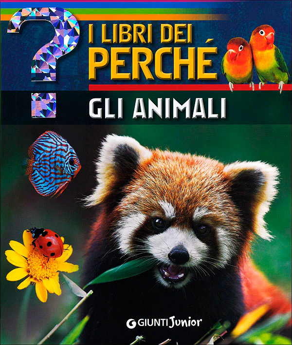 Immagine prodotto 1