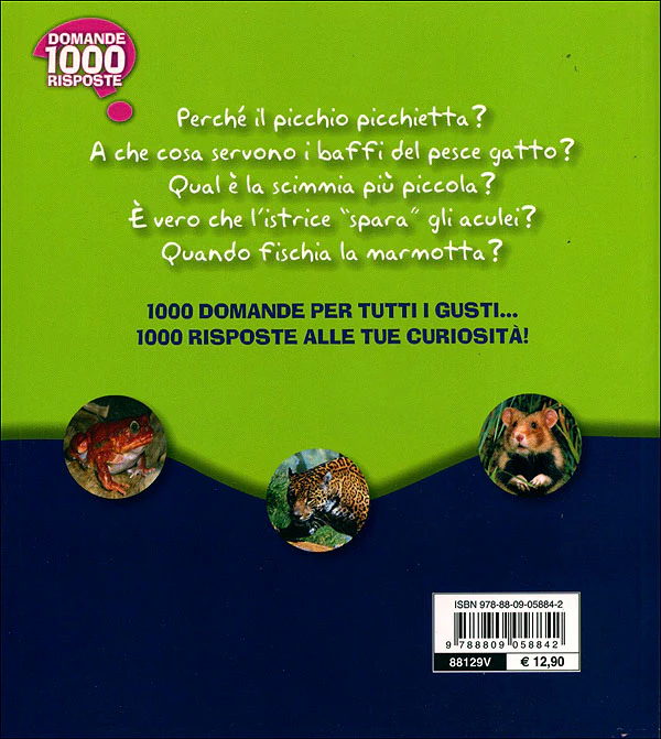 Immagine prodotto 2