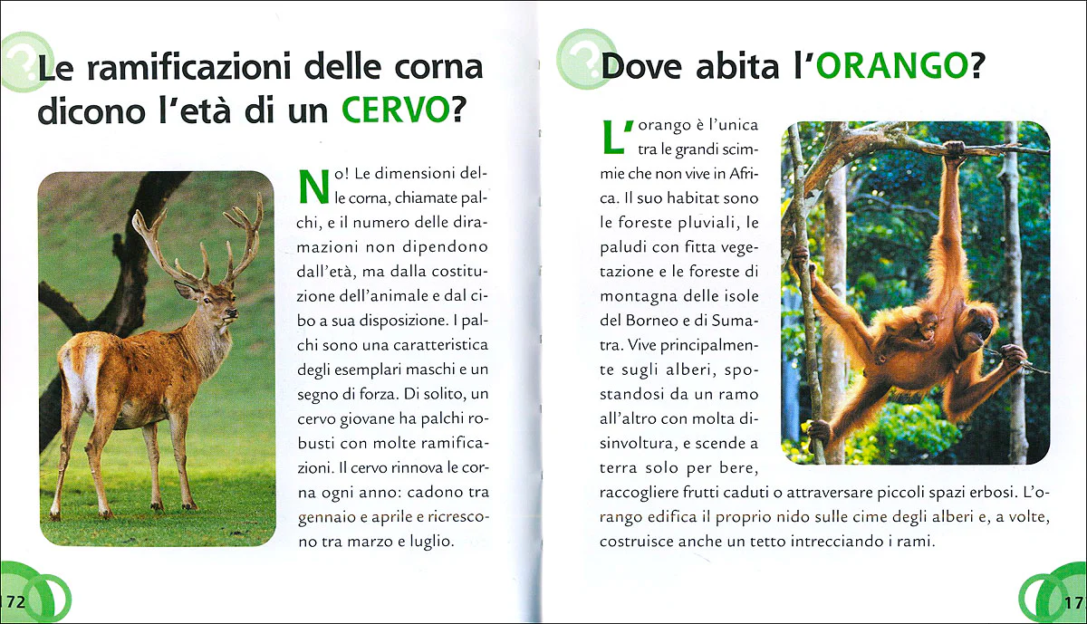 Immagine prodotto 5