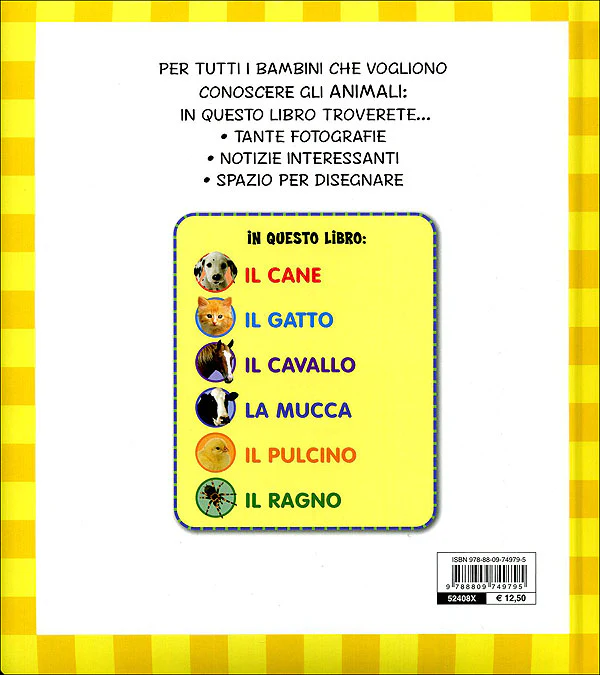 Immagine prodotto 2