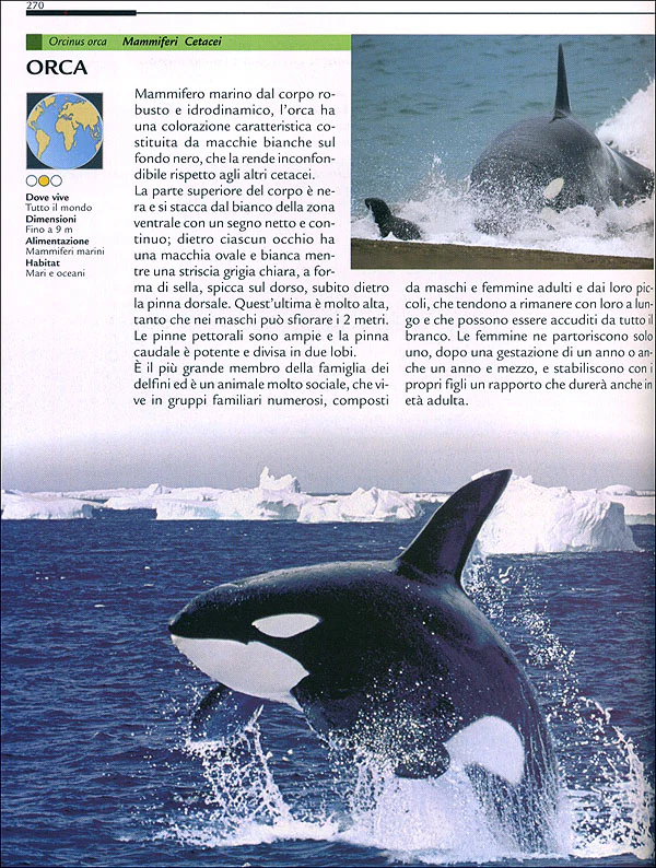 Immagine prodotto 3