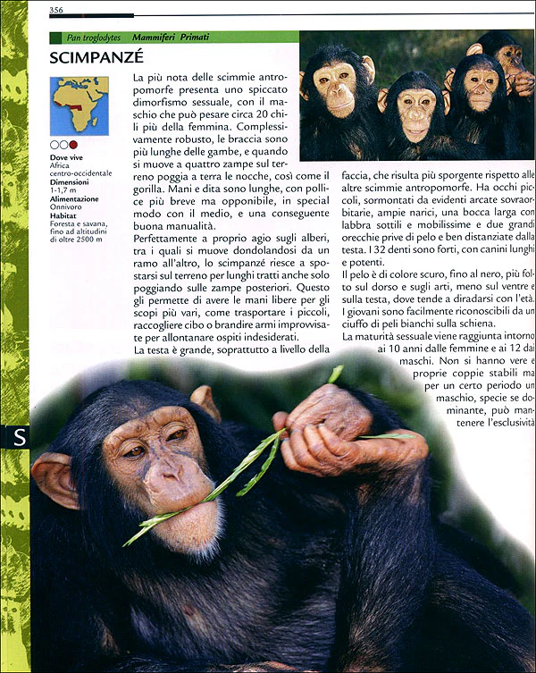 Immagine prodotto 4