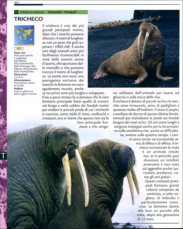 Immagine prodotto 5