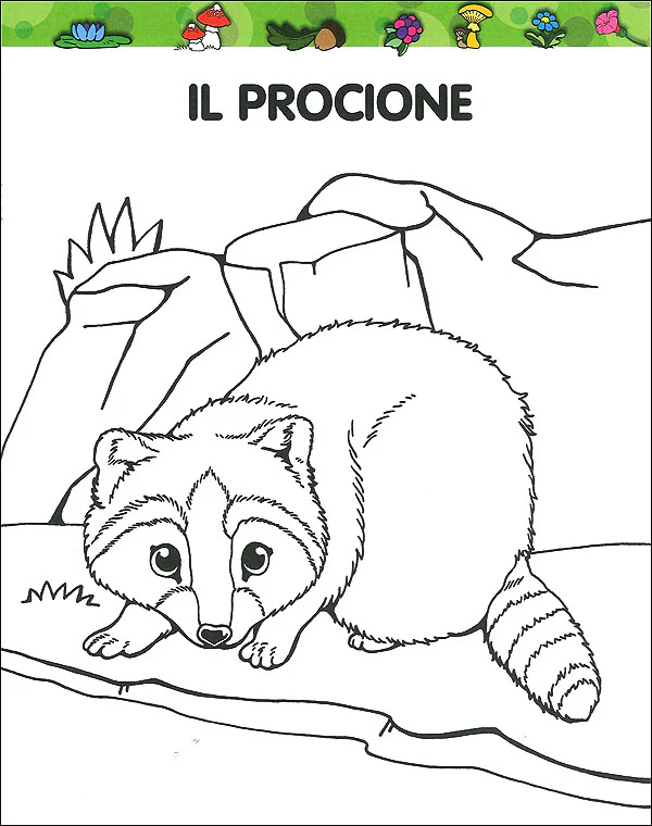 Immagine prodotto 3