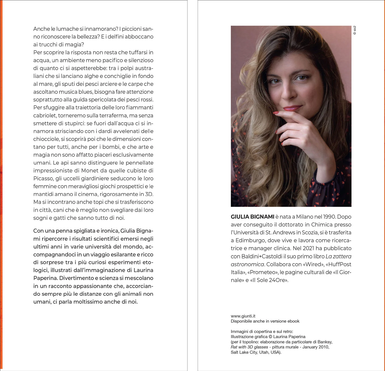Immagine prodotto 3