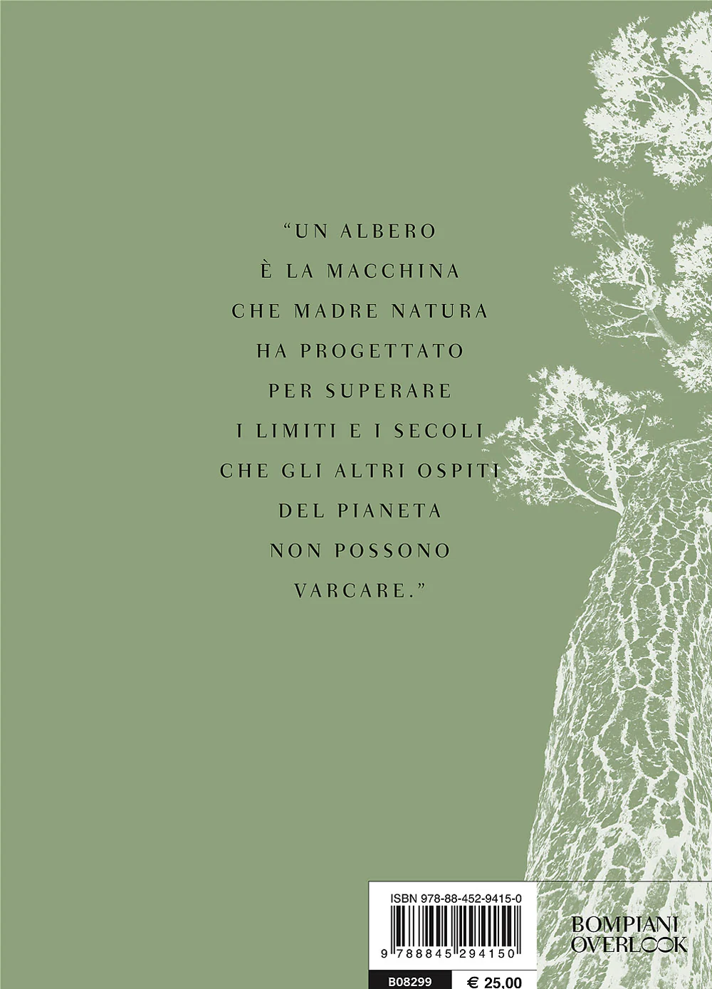 Immagine prodotto 2