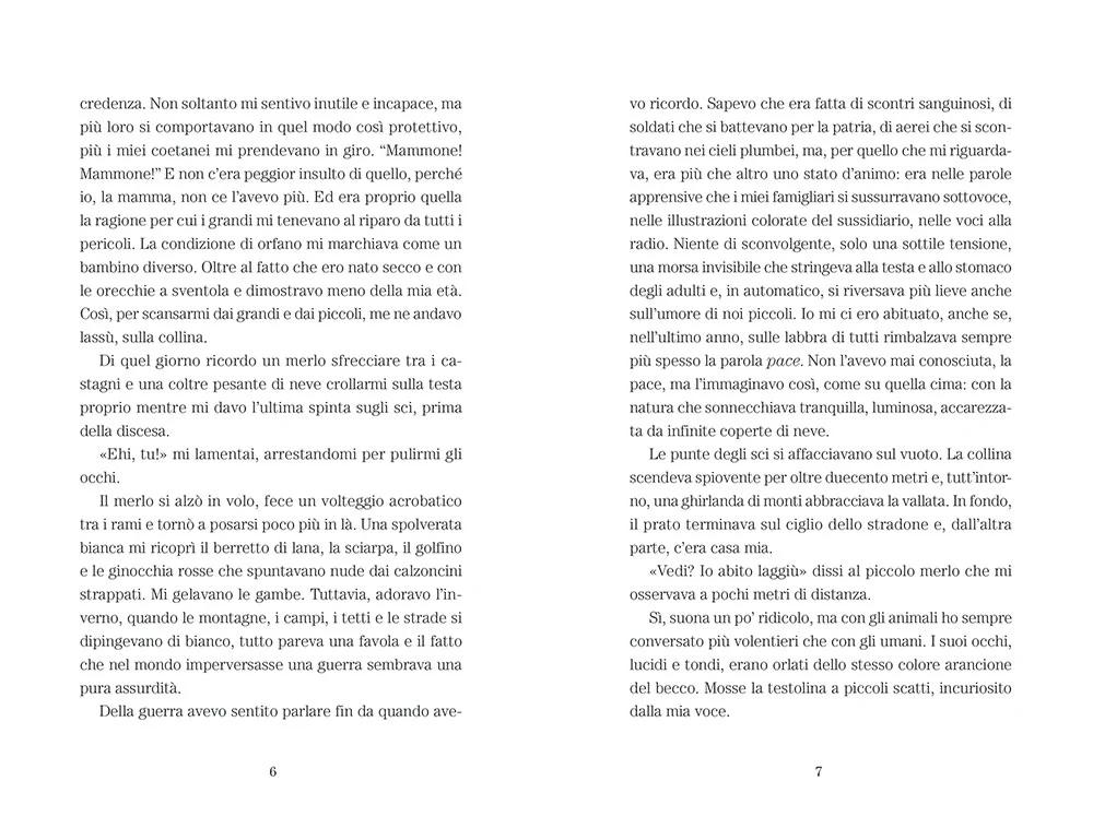 Immagine prodotto 6