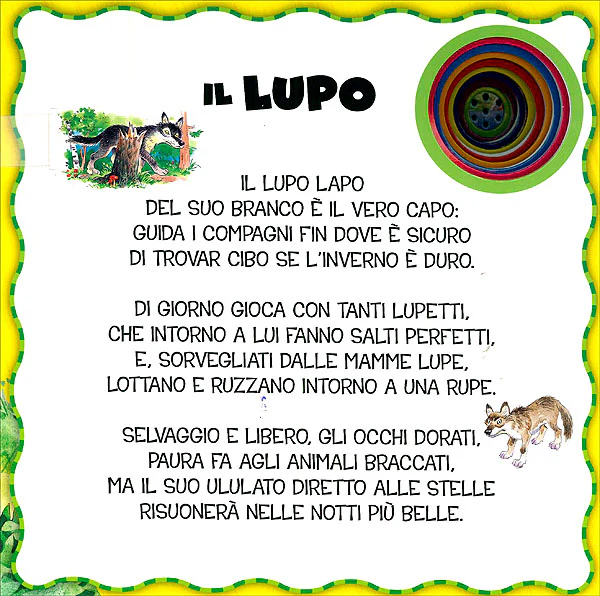 Immagine prodotto 3