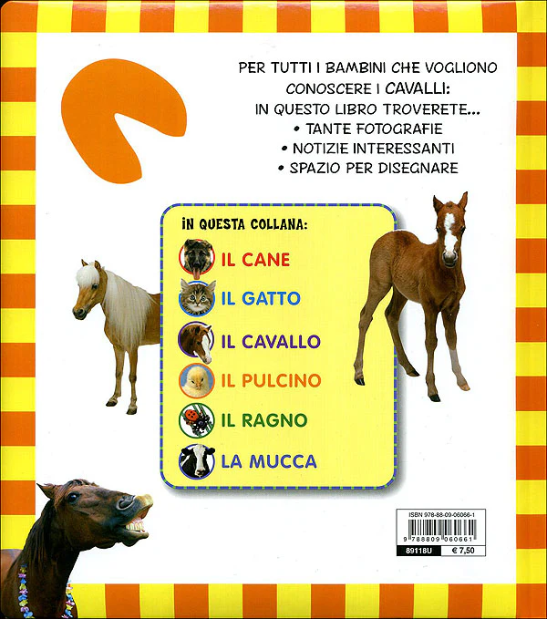 Immagine prodotto 2