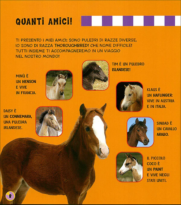 Immagine prodotto 3