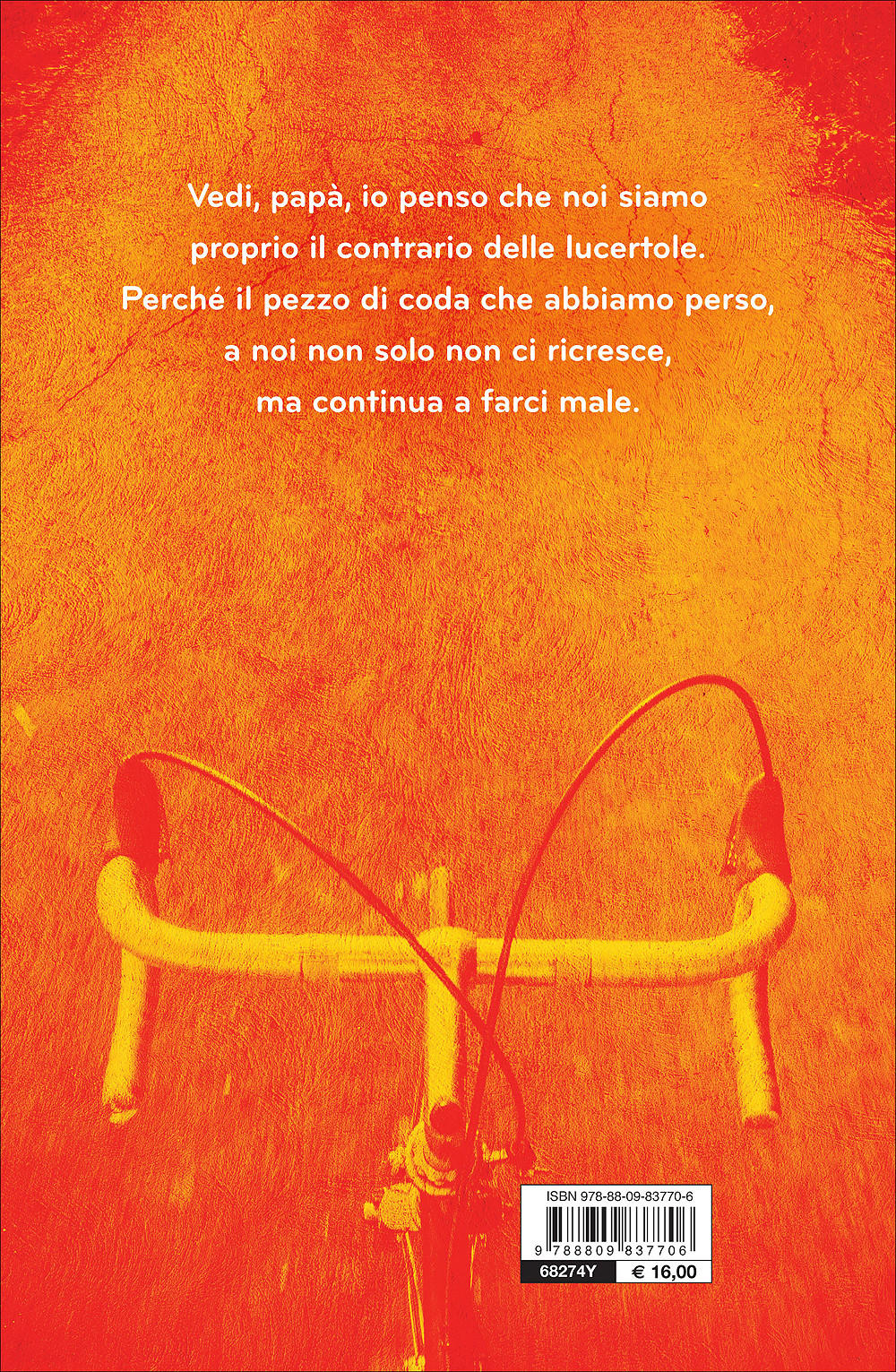 Immagine prodotto 2