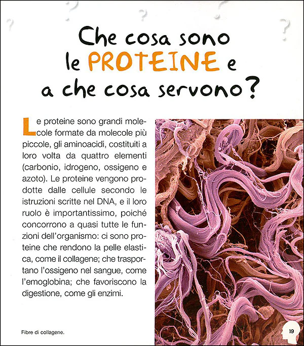 Immagine prodotto 3