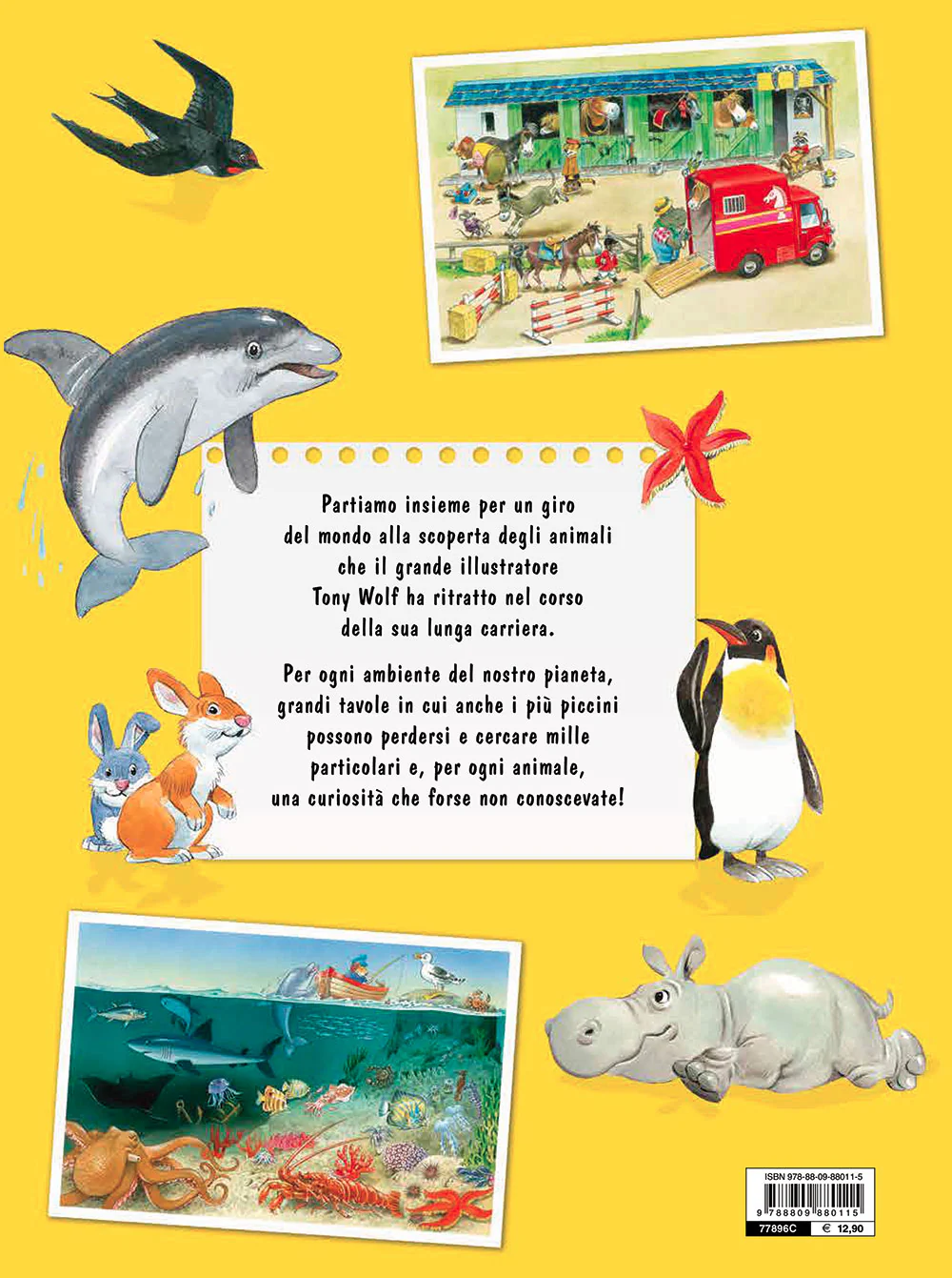 Immagine prodotto 2