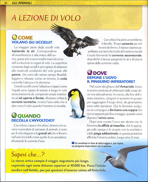 Immagine prodotto 4