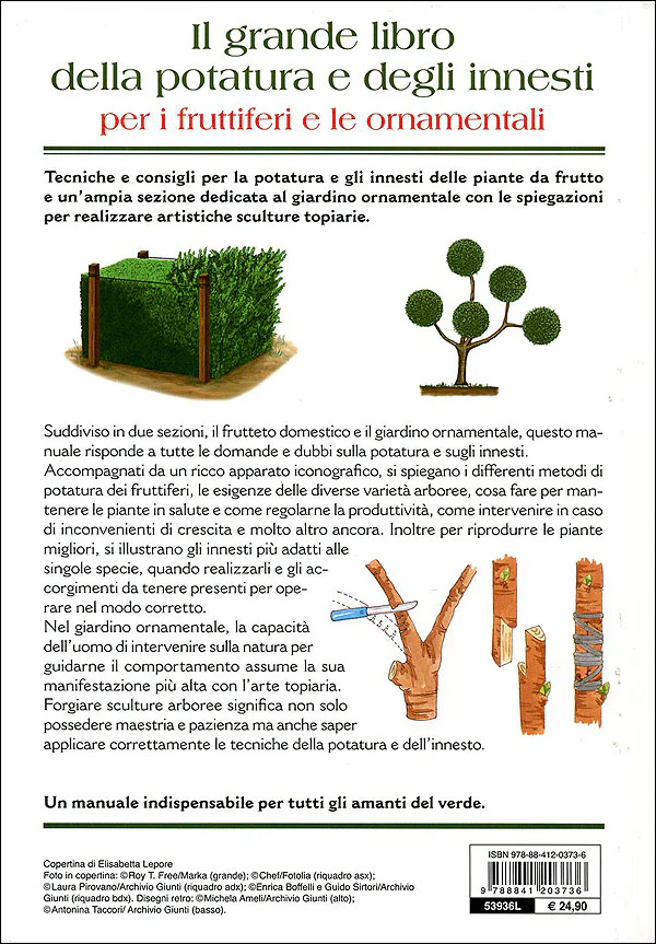Immagine prodotto 2