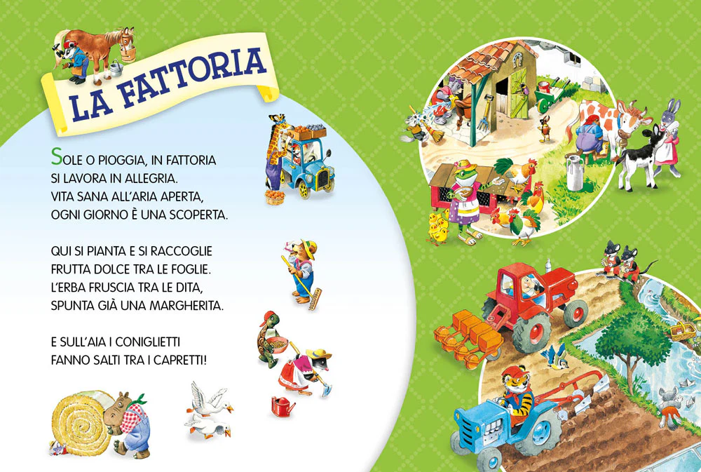 Immagine prodotto 5