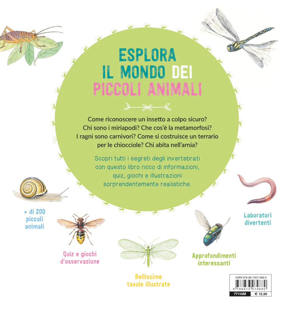 Immagine prodotto 2