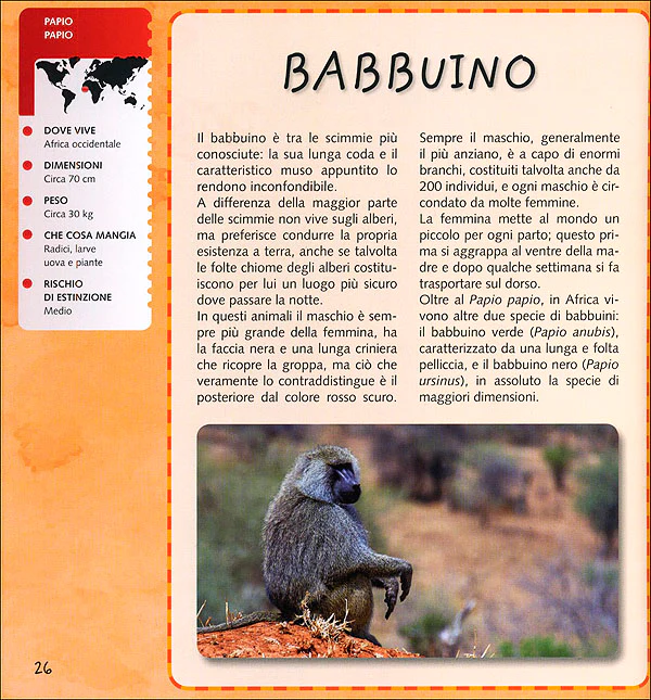 Immagine prodotto 3