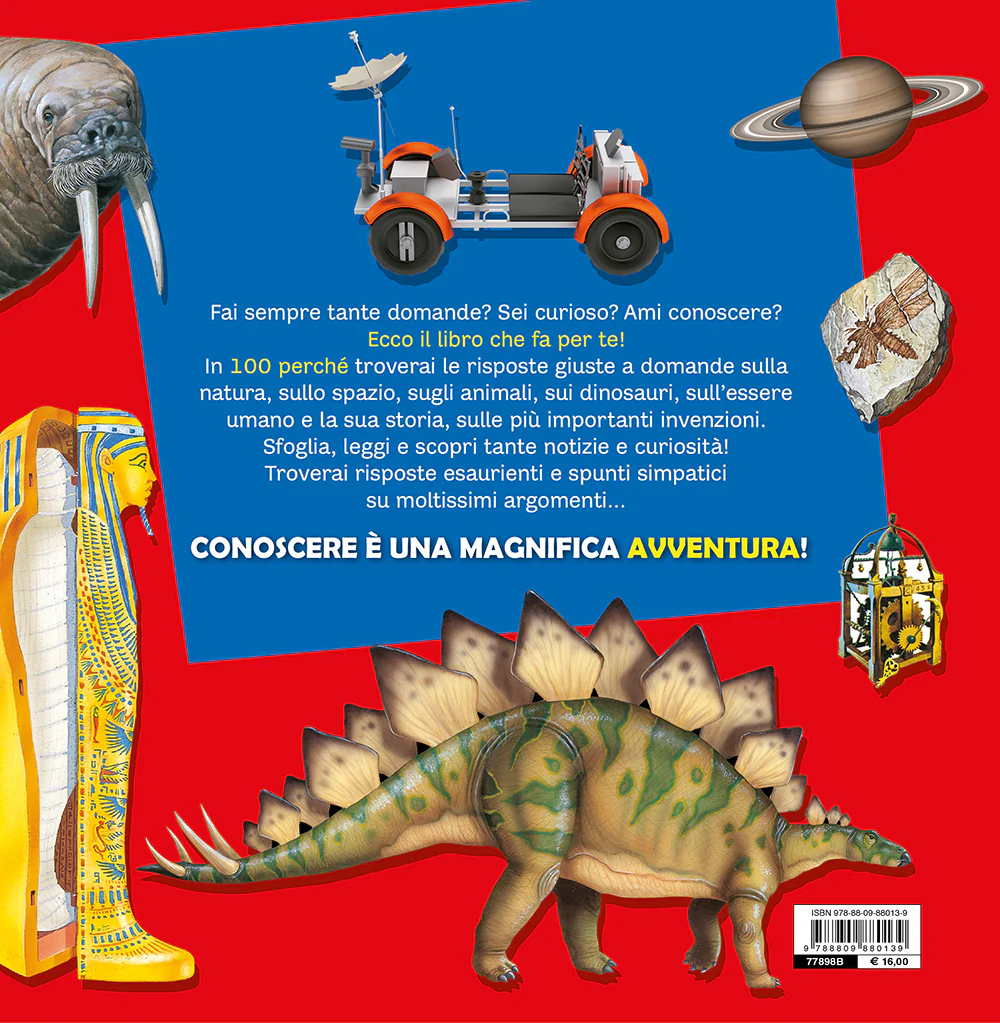 Immagine prodotto 2