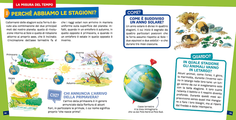 Immagine prodotto 4