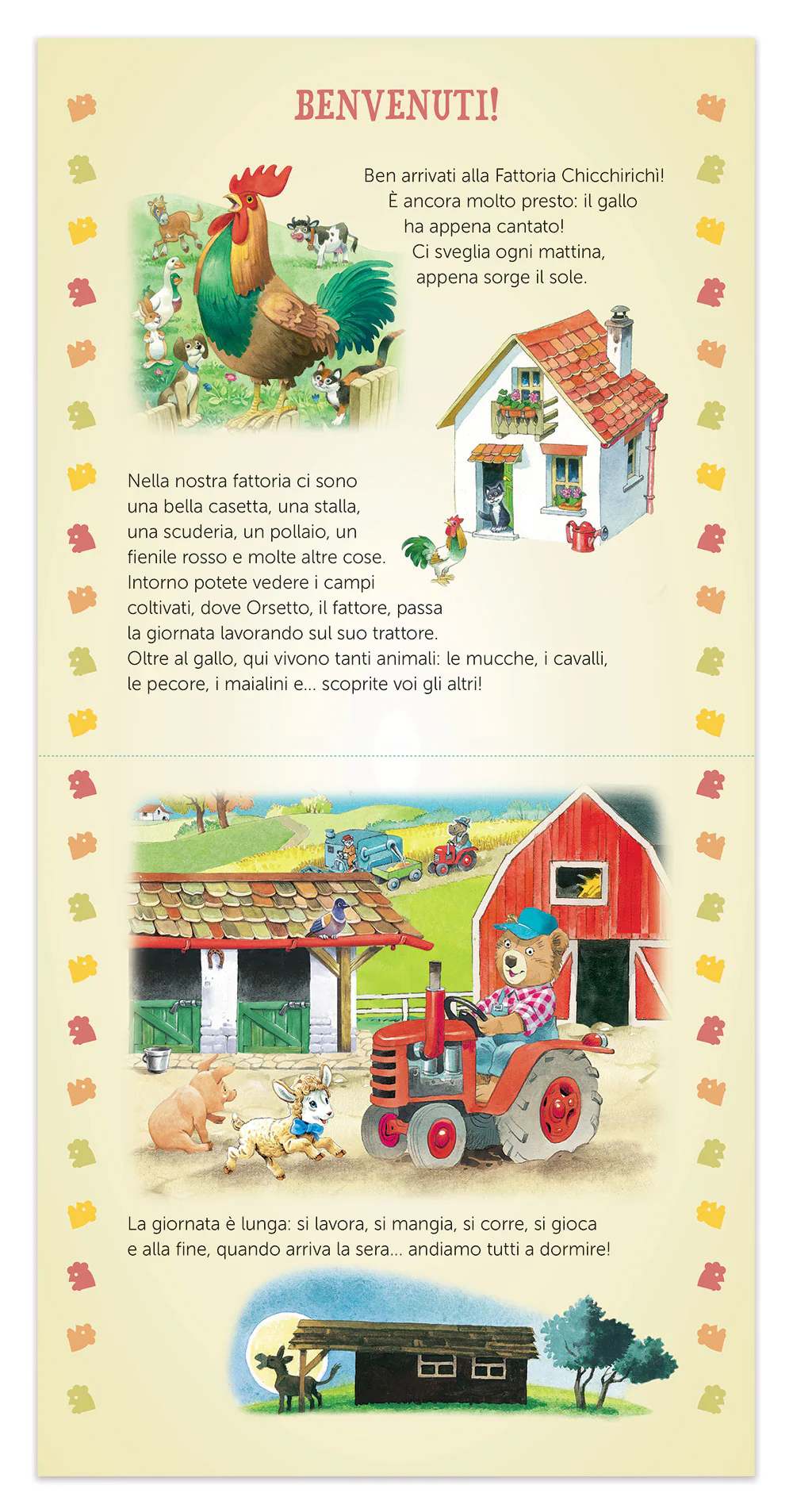 Immagine prodotto 4