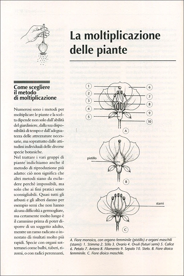 Immagine prodotto 3