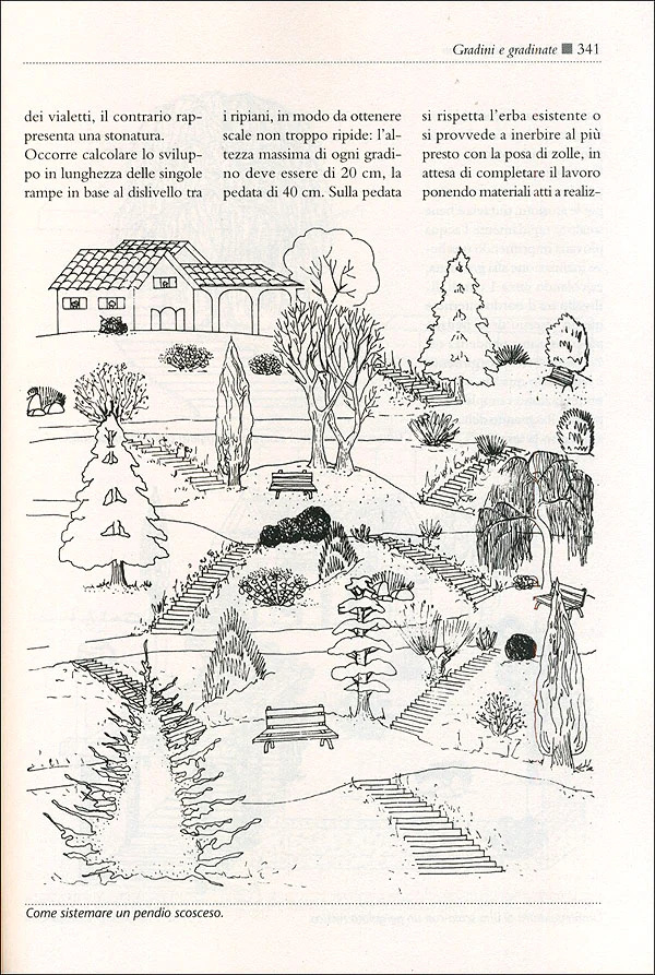Immagine prodotto 5