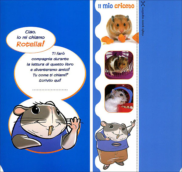 Immagine prodotto 3