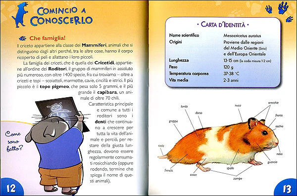 Immagine prodotto 4