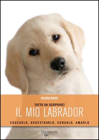 Immagine prodotto 1