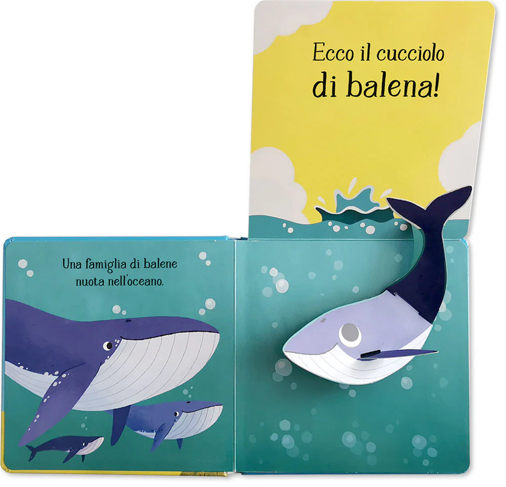 Immagine prodotto 4
