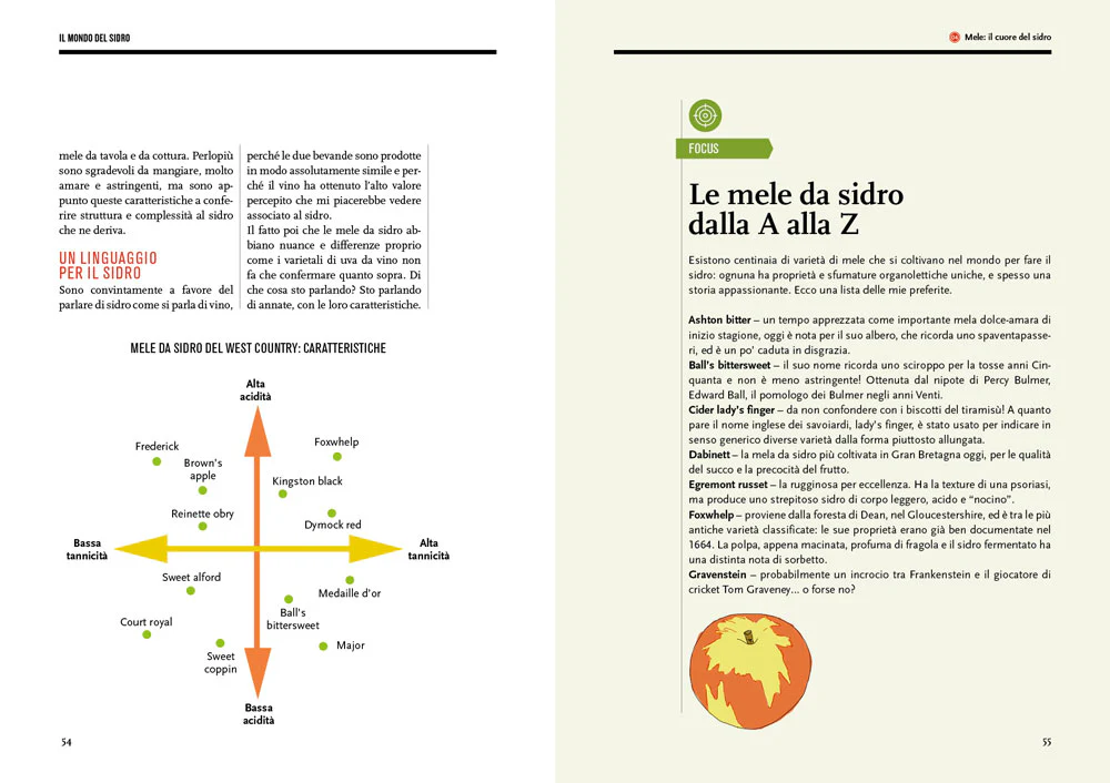 Immagine prodotto 4