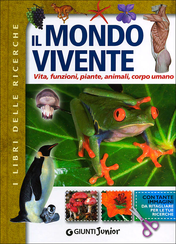 Immagine prodotto 1
