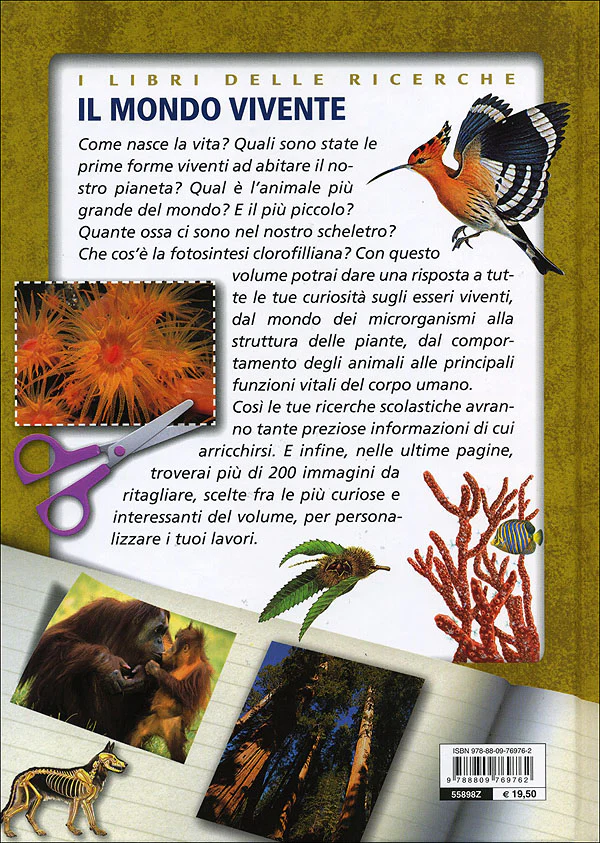 Immagine prodotto 2