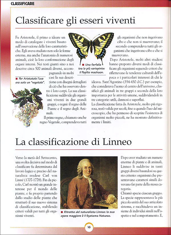 Immagine prodotto 3
