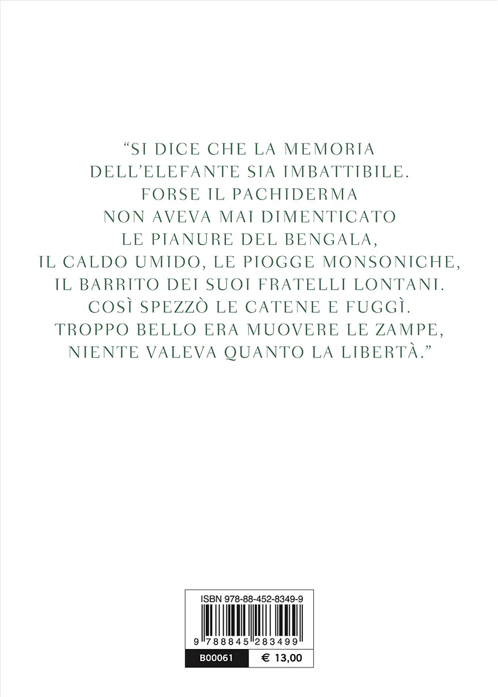 Immagine prodotto 2