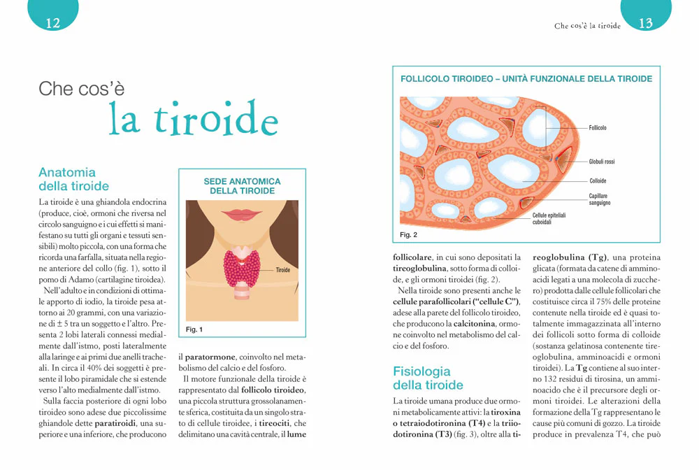 Immagine prodotto 4