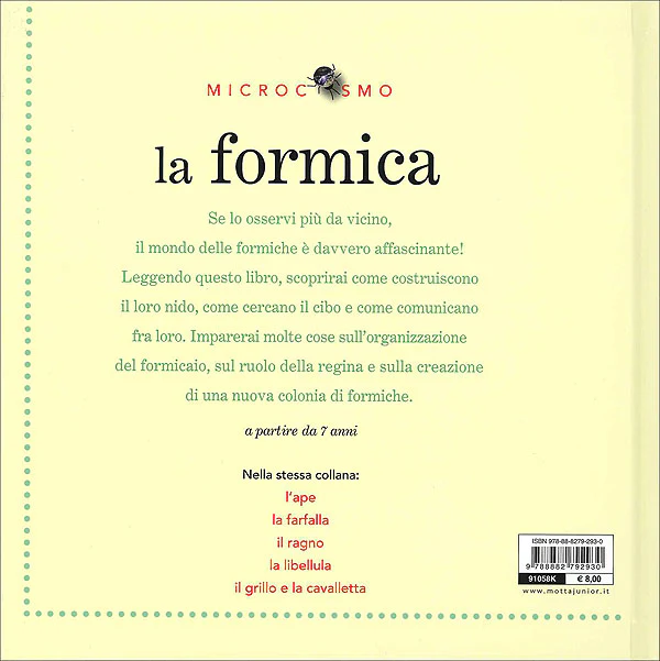 Immagine prodotto 2