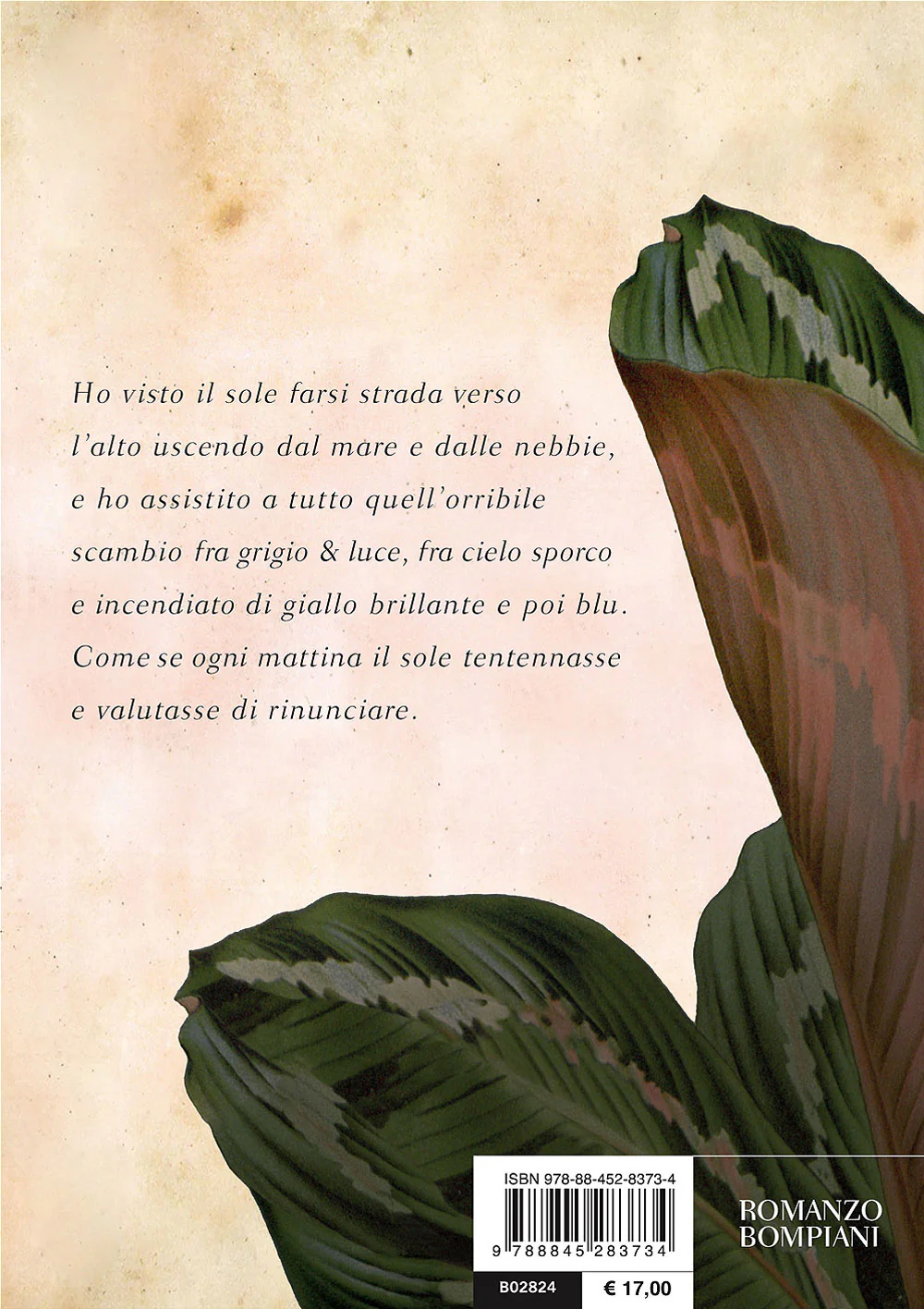 Immagine prodotto 2