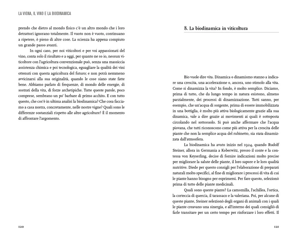 Immagine prodotto 5