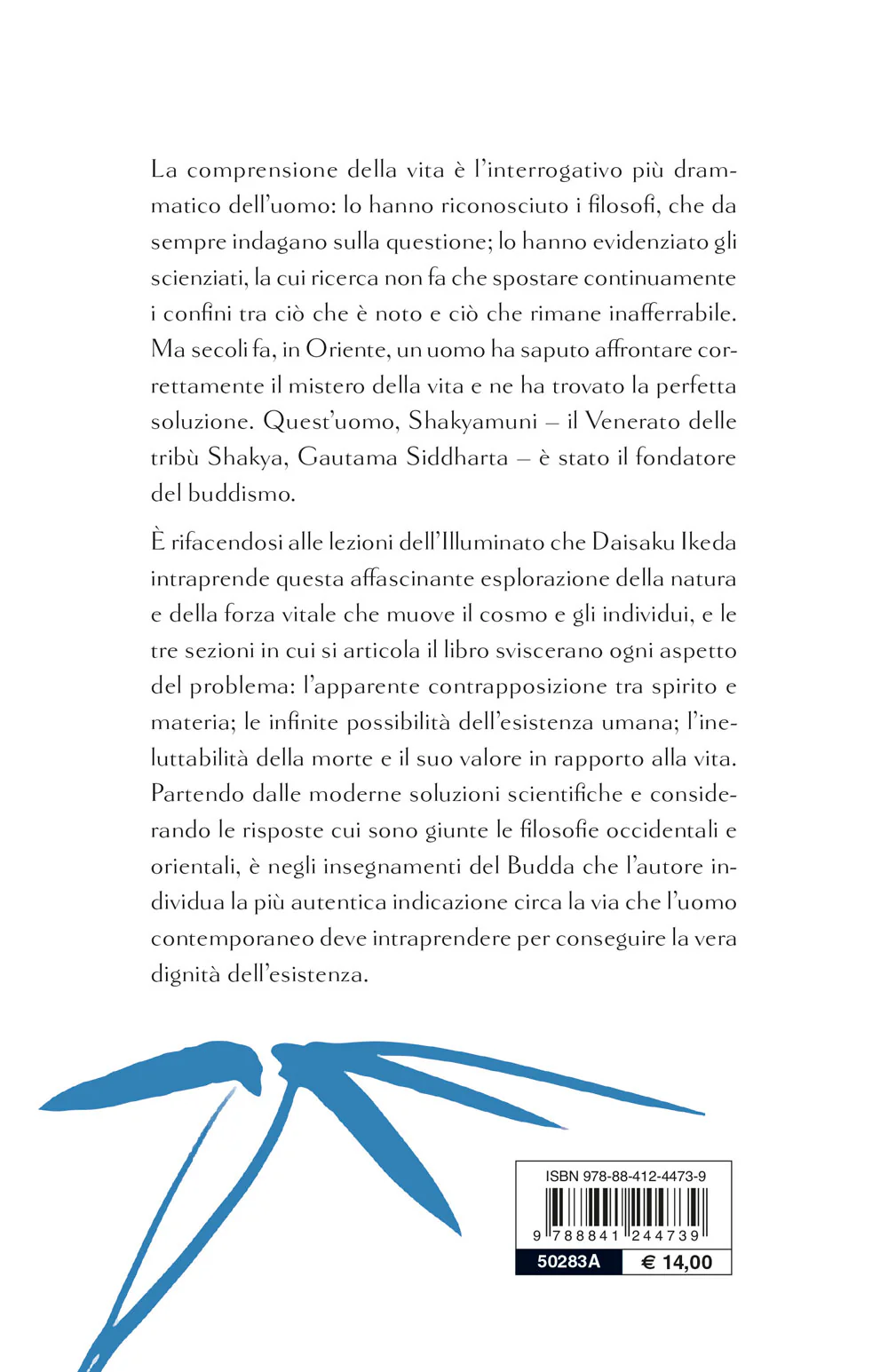 Immagine prodotto 2